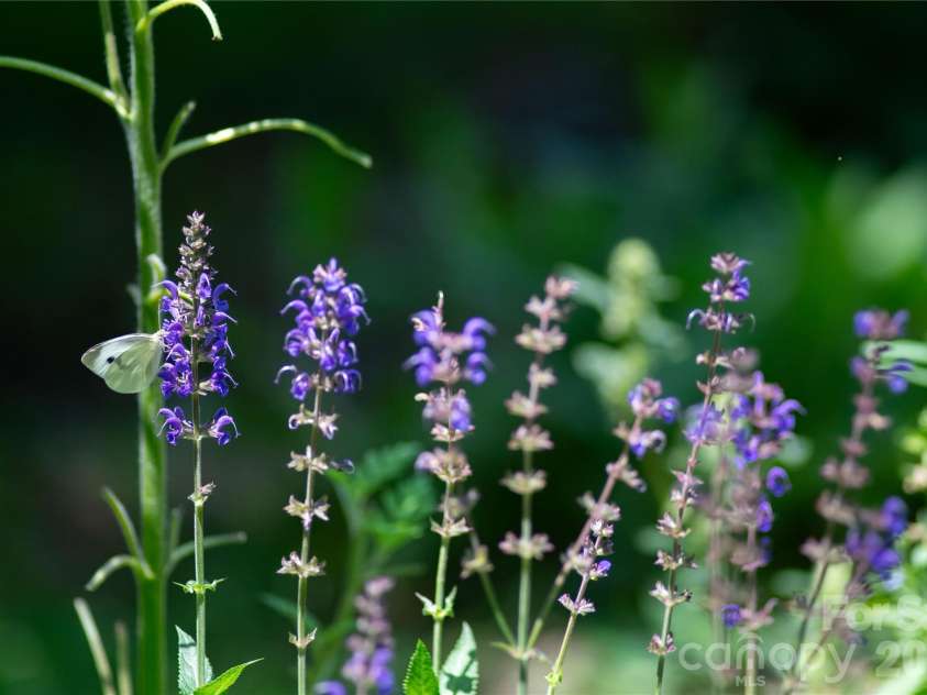 109 Paradise Circle, Clyde, NC 28721.  MLS# CAR4341580, YatesRealty ID 23219. 