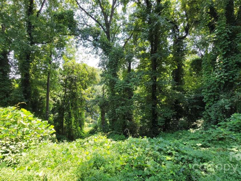 160 Cleveland Road, Tryon, NC 28782.  MLS# CAR4274322, YatesRealty ID 23261. Left lot