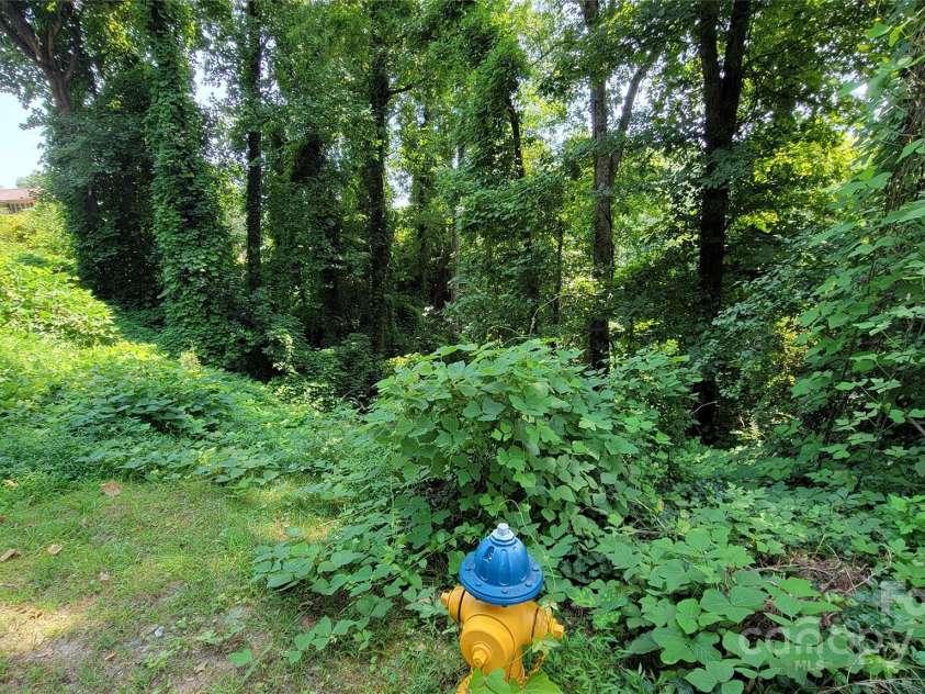 160 Cleveland Road, Tryon, NC 28782.  MLS# CAR4274322, YatesRealty ID 23261. Looking over left lot from parking