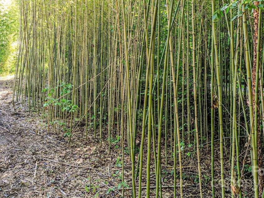 1151 Nanneytown Road, Union Mills, NC 28167.  MLS# CAR4276274, YatesRealty ID 23268. 