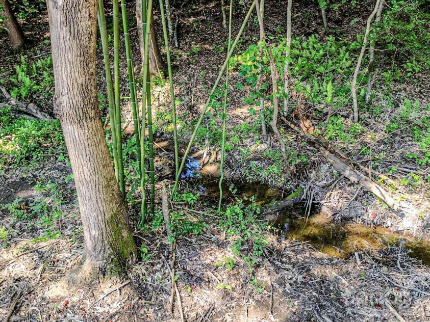 1151 Nanneytown Road, Union Mills, NC 28167.  MLS# CAR4276274, YatesRealty ID 23268. 