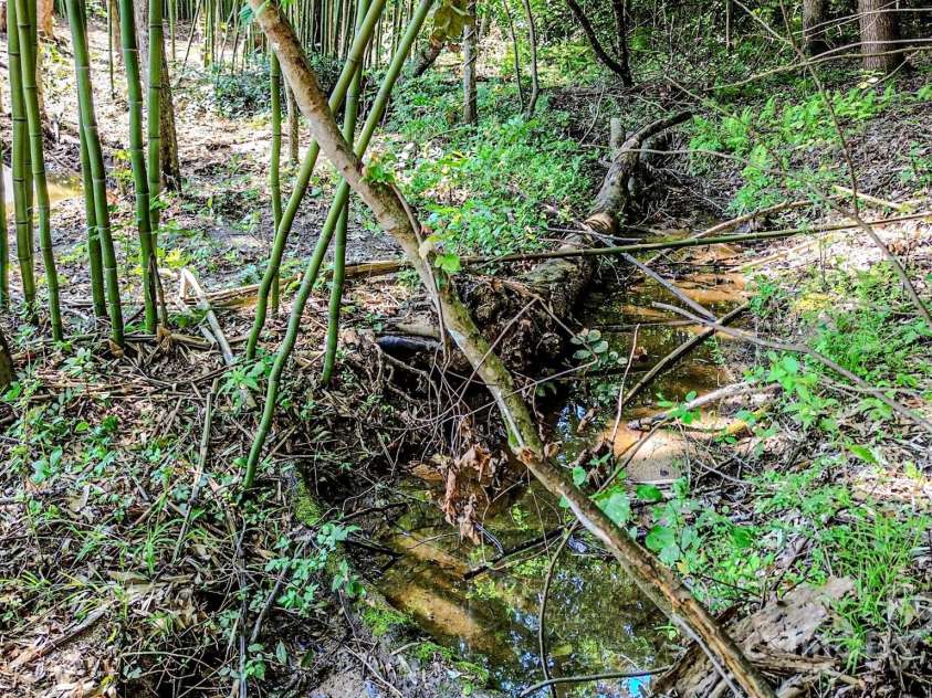 1151 Nanneytown Road, Union Mills, NC 28167.  MLS# CAR4276274, YatesRealty ID 23268. 