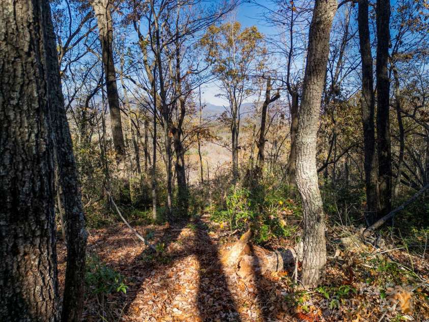 170 Midnight Sun Lane, Old Fort, NC 28762.  MLS# CAR4197083, YatesRealty ID 23315. 