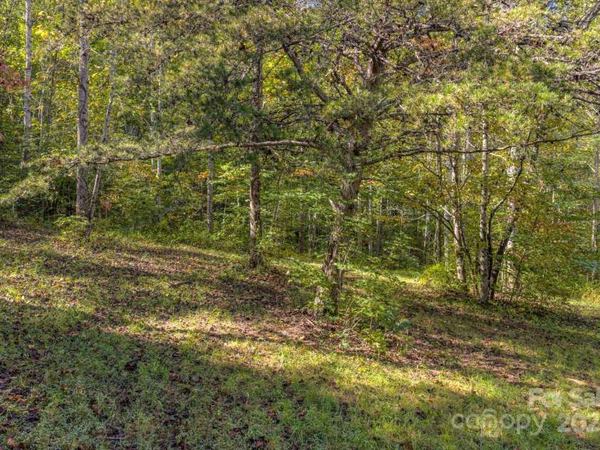 170 Midnight Sun Lane, Old Fort, NC 28762.  MLS# CAR4307086, YatesRealty ID 23315. 