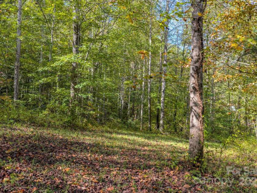 170 Midnight Sun Lane, Old Fort, NC 28762.  MLS# CAR4307086, YatesRealty ID 23315. 