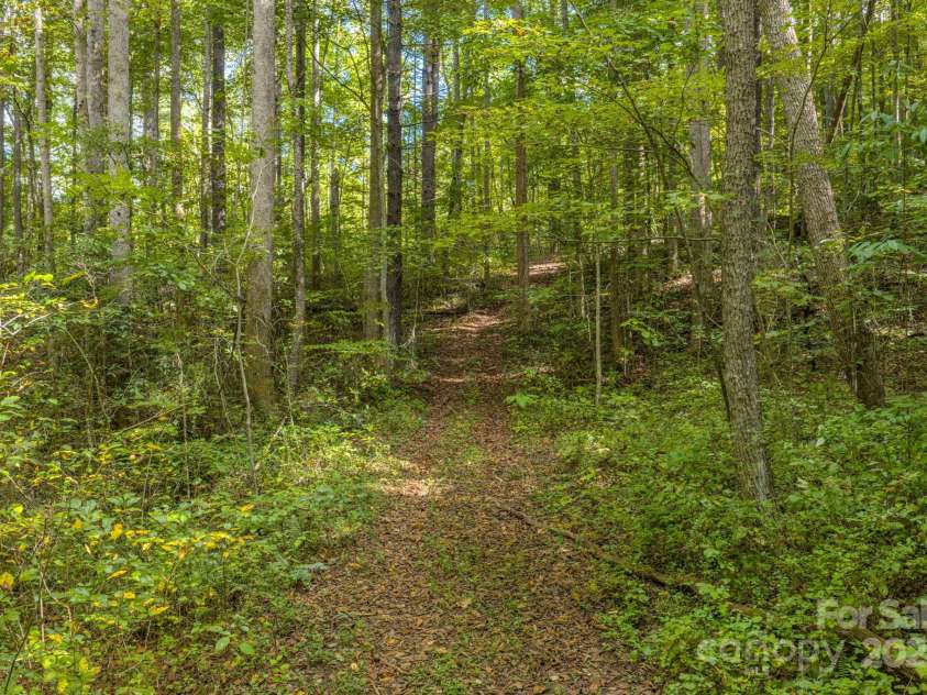 170 Midnight Sun Lane, Old Fort, NC 28762.  MLS# CAR4307086, YatesRealty ID 23315. 