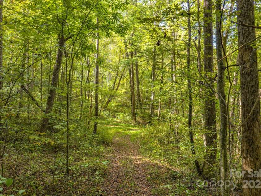 170 Midnight Sun Lane, Old Fort, NC 28762.  MLS# CAR4307086, YatesRealty ID 23315. 