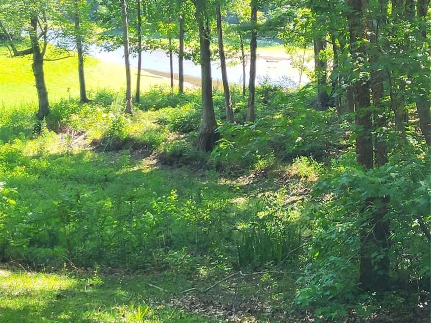 1913 Lake Monroe Drive, Monroe, NC 28112.  MLS# CAR4382343, YatesRealty ID 23380. Back yard
