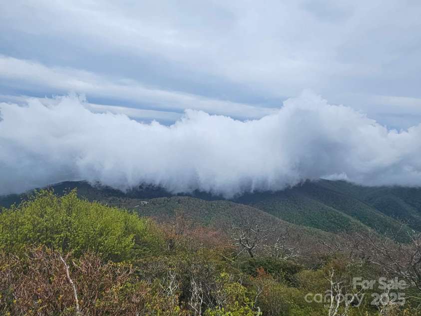 158 Riverbend Forest Drive, Asheville, NC 28805.  MLS# CAR4240684, YatesRealty ID 23402. 