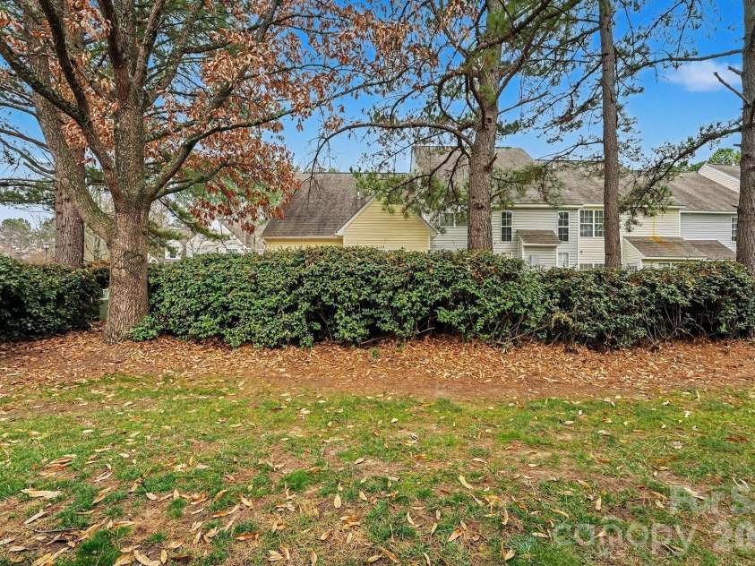 8331 Christmas Court, Charlotte, NC 28216.  MLS# CAR4340042, YatesRealty ID 2344. Backyard- Privacy Hedges