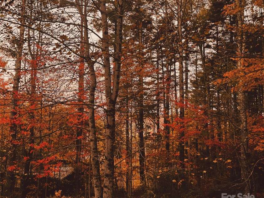 104 Jurassic Drive, Cashiers, NC 28717.  MLS# CAR4276823, YatesRealty ID 23460. 