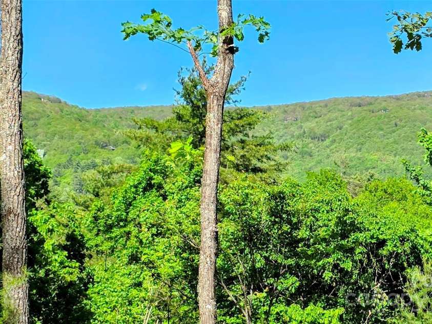 297 Easy Springs Road, Sapphire, NC 28774.  MLS# CAR4277320, YatesRealty ID 23481. 