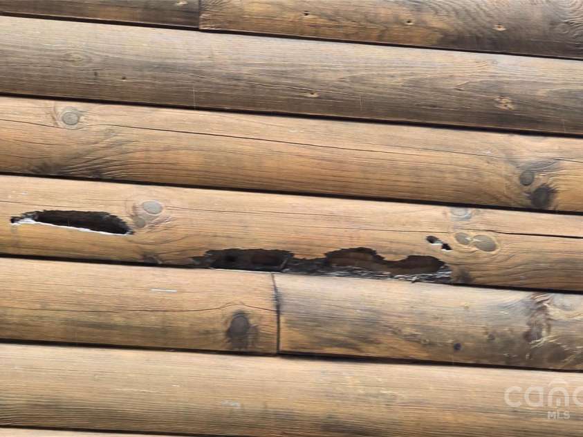 6490 Globe Road, Lenoir, NC 28645.  MLS# CAR4281988, YatesRealty ID 2351. Insect damage to siding, multiple areas