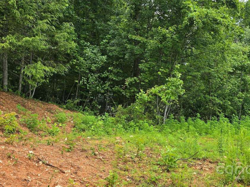 6490 Globe Road, Lenoir, NC 28645.  MLS# CAR4281988, YatesRealty ID 2351. Side yard