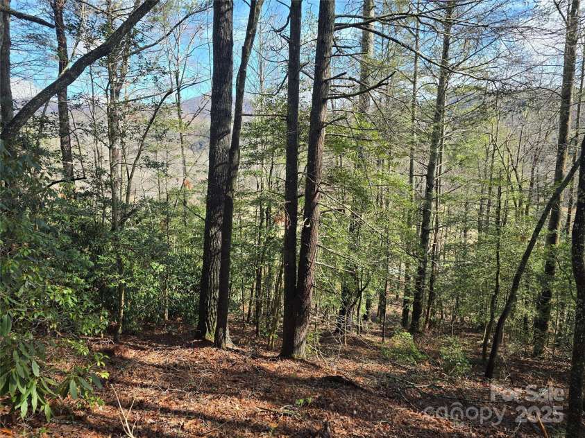 6490 Globe Road, Lenoir, NC 28645.  MLS# CAR4281988, YatesRealty ID 2351. Steep incline