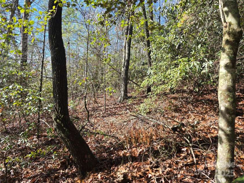 6490 Globe Road, Lenoir, NC 28645.  MLS# CAR4281988, YatesRealty ID 2351. Steep incline