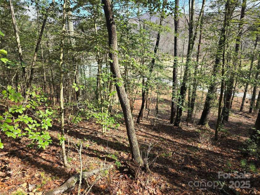 6490 Globe Road, Lenoir, NC 28645.  MLS# CAR4281988, YatesRealty ID 2351. View of land