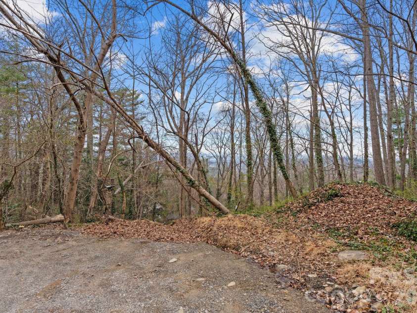 355 Sunset Drive, Asheville, NC 28804.  MLS# CAR4361101, YatesRealty ID 23517. 