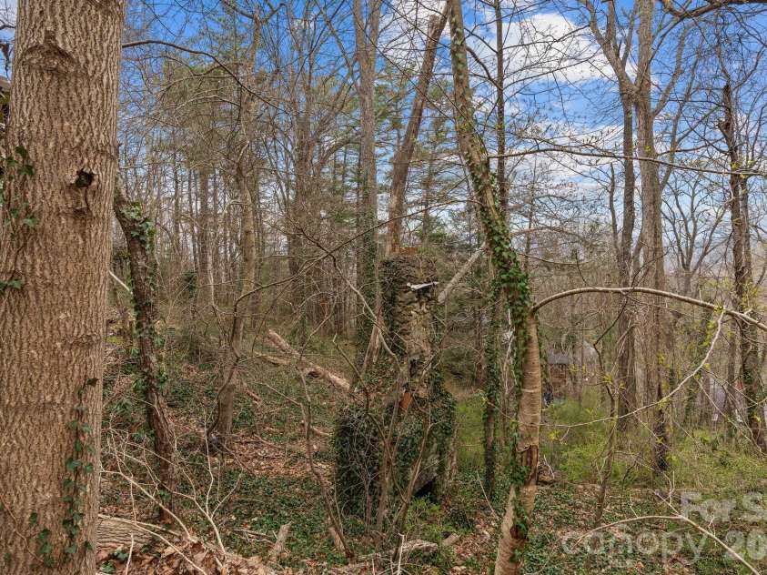355 Sunset Drive, Asheville, NC 28804.  MLS# CAR4361101, YatesRealty ID 23517. 