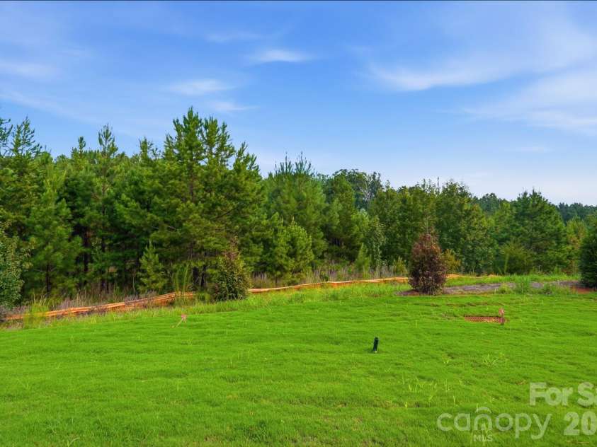 454 Blythe Townhome Lane, Waxhaw, NC 28173.  MLS# CAR4367106, YatesRealty ID 23571. Backyard
