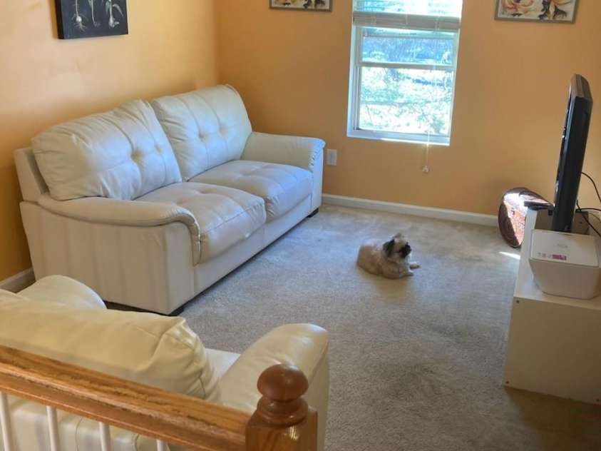 806 Dale Avenue, Charlotte, NC 28216.  MLS# CAR4234521, YatesRealty ID 2360. 