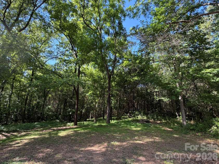 382 Alexis High Shoals Road, Dallas, NC 28034.  MLS# CAR4417122, YatesRealty ID 23613. View from house toward 10.71 acre parcel