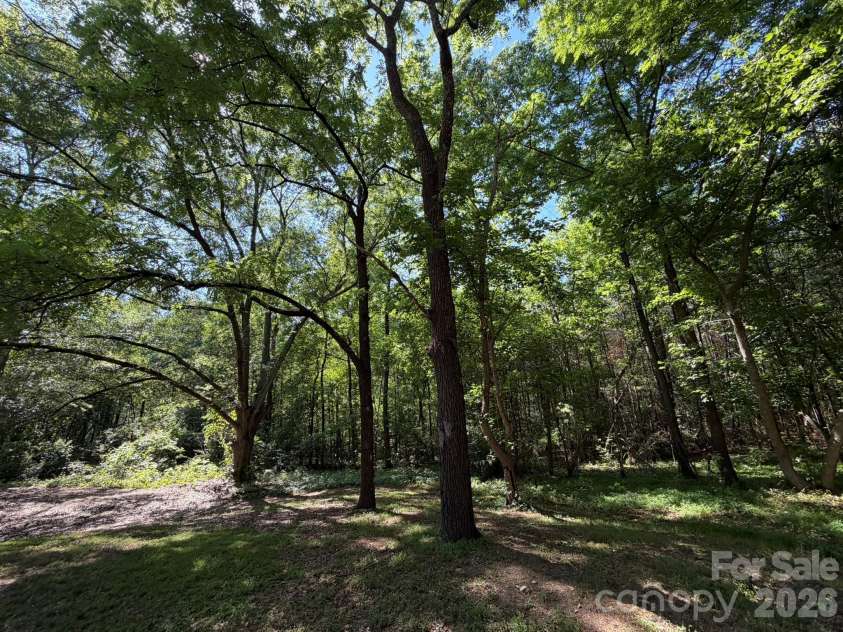 382 Alexis High Shoals Road, Dallas, NC 28034.  MLS# CAR4417122, YatesRealty ID 23613. View from house toward 10.71 acre parcel