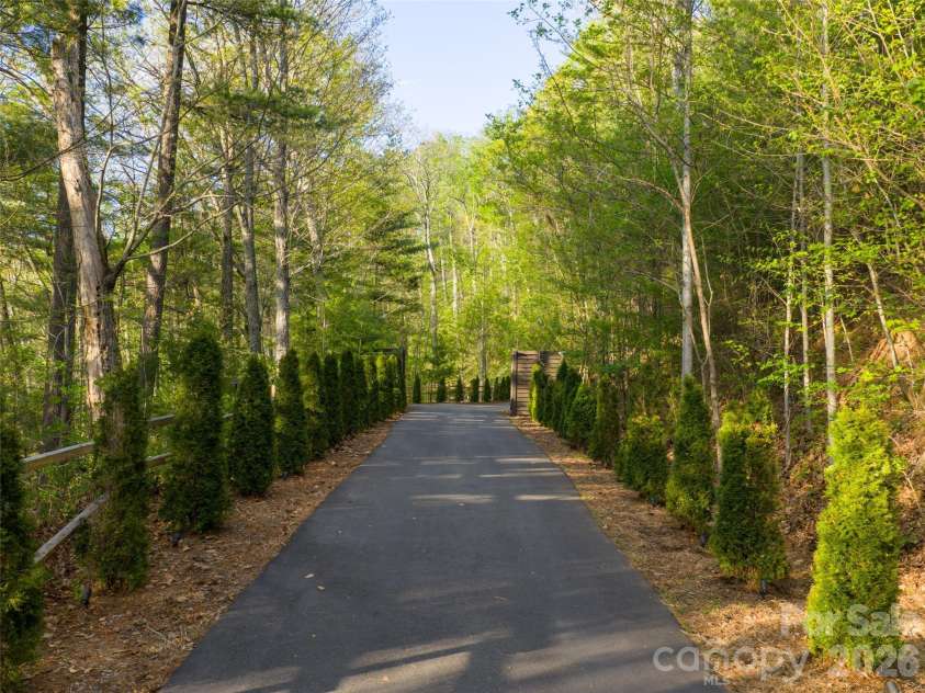 32 Timberwolf Court, Asheville, NC 28804.  MLS# CAR4376999, YatesRealty ID 23625. 