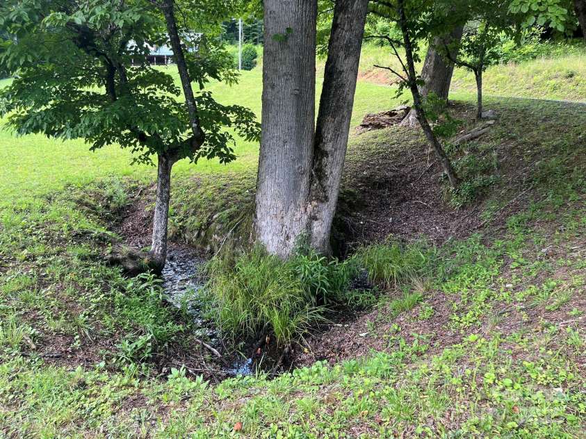 621 Cherryfield Creek, Brevard, NC 28712.  MLS# CAR4269516, YatesRealty ID 23646. Natural Spring Head