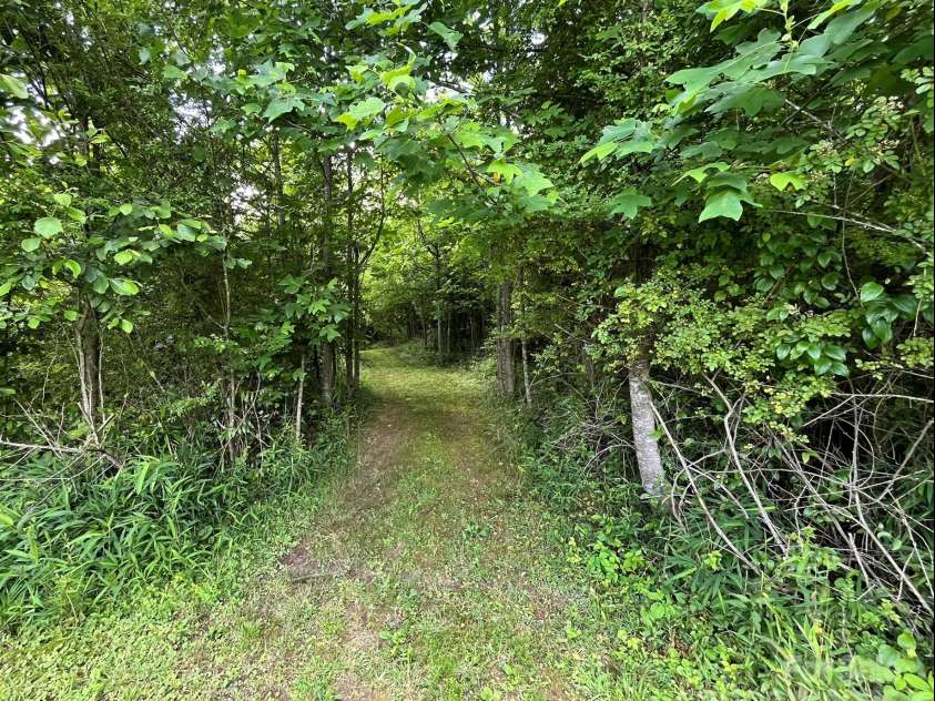621 Cherryfield Creek, Brevard, NC 28712.  MLS# CAR4269516, YatesRealty ID 23646. Walking Trails Throughout the Property