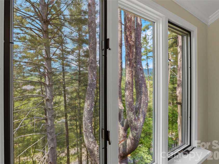 201 Timber Drive, Asheville, NC 28804.  MLS# CAR4373711, YatesRealty ID 23652. Tree views