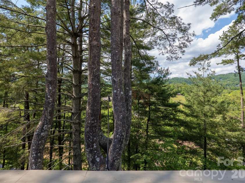 201 Timber Drive, Asheville, NC 28804.  MLS# CAR4373711, YatesRealty ID 23652. Views