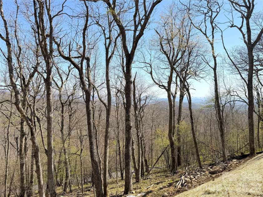 536 Boone Ridge Lane, Boone, NC 28607.  MLS# CAR4381577, YatesRealty ID 23712. Past spring views, taken from lower level