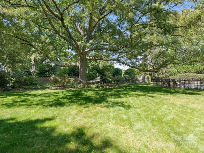 2410 Vernon Drive, Charlotte, NC 28211.  MLS# CAR4257447, YatesRealty ID 23739. Back Yard