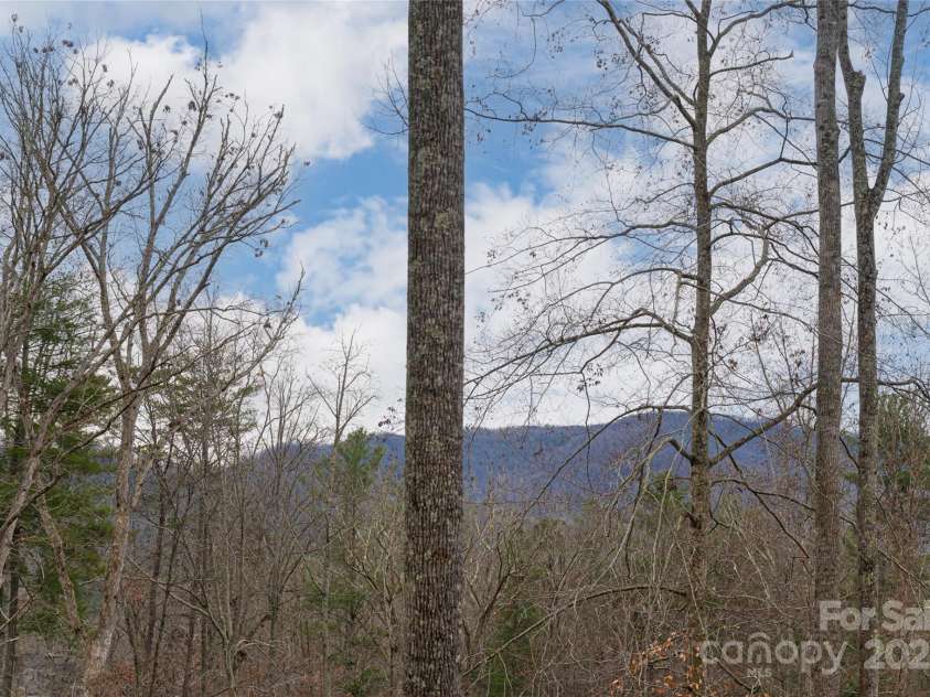 42 Towering Oaks Lane, Asheville, NC 28805.  MLS# CAR4334272, YatesRealty ID 2376. 