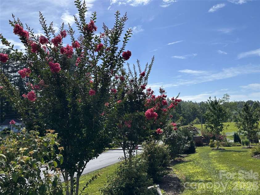 717 Daniel Circle Drive, Mills River, NC 28759.  MLS# CAR4355439, YatesRealty ID 23761. Rear Yard Landscaping 2