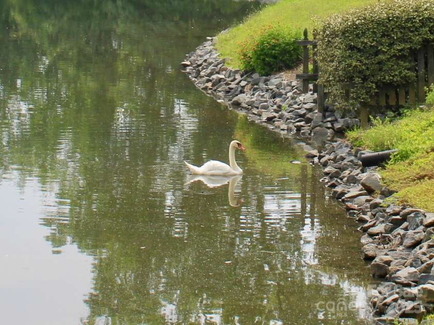 5864 Harris Grove Lane, Charlotte, NC 28212.  MLS# CAR4270397, YatesRealty ID 23768. 