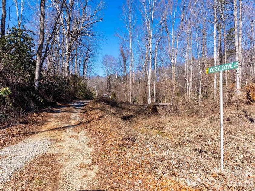 124 Cozy Cove Lane, Saluda, NC 28773.  MLS# CAR4338462, YatesRealty ID 23780. Private Driveway/road