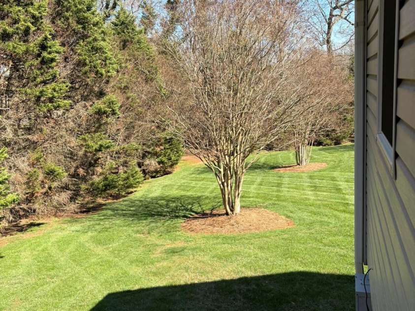 107 Forrest Glenn Court, King, NC 27021.  MLS# CAR4350946, YatesRealty ID 23795. 