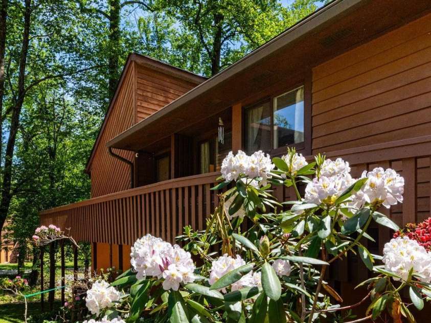 5 Wildwood Circle, Fletcher, NC 28732.  MLS# CAR4378372, YatesRealty ID 23801. Blooms!