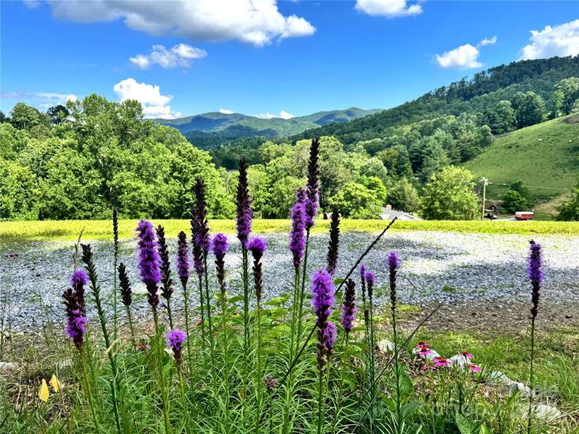 1586 Arbuckle Road, Burnsville, NC 28714.  MLS# CAR4277620, YatesRealty ID 23833. 