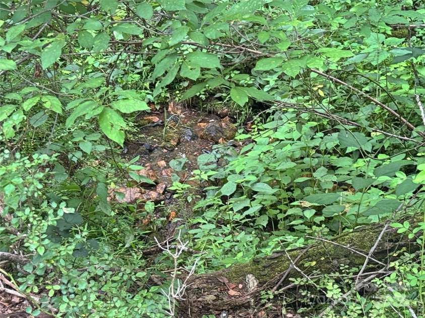 1586 Arbuckle Road, Burnsville, NC 28714.  MLS# CAR4277620, YatesRealty ID 23833. 