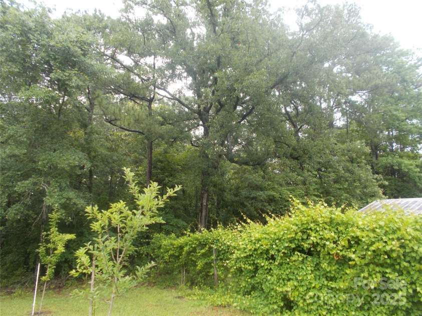 187 Cartledge Creek Road, Rockingham, NC 28379.  MLS# CAR4261307, YatesRealty ID 23852. Grape arbor