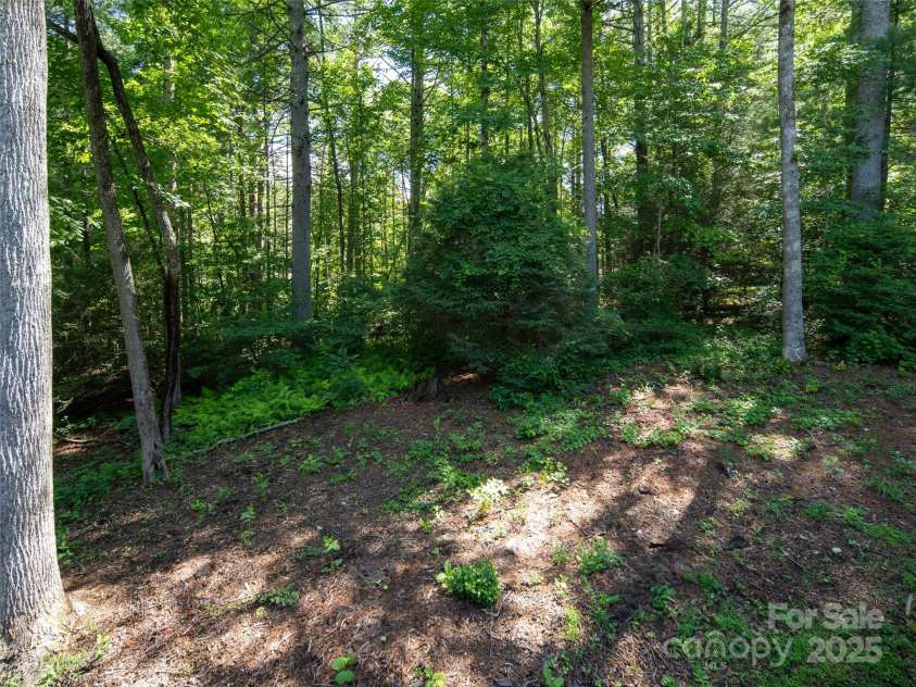 30 Falcon Wood Way, Flat Rock, NC 28739.  MLS# CAR4273281, YatesRealty ID 23873. 