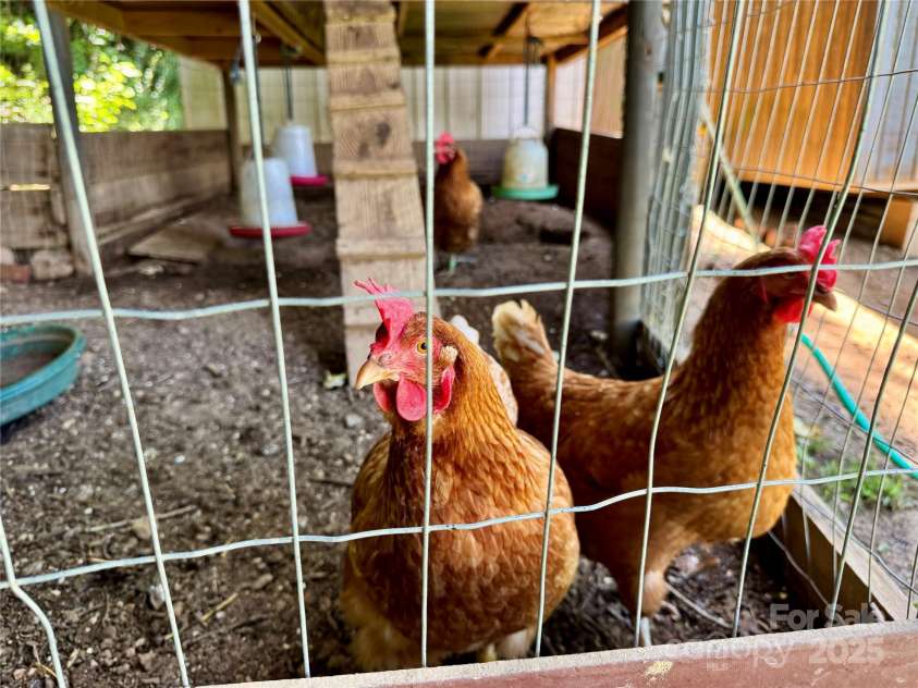 282 Calhoun Trail, Rutherfordton, NC 28139.  MLS# CAR4272735, YatesRealty ID 23902. 