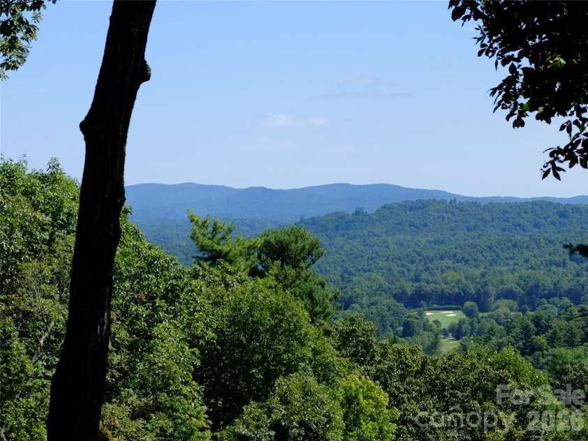 258 DALHOUSIE Court, Flat Rock, NC 28731.  MLS# CAR4379013, YatesRealty ID 23912. 