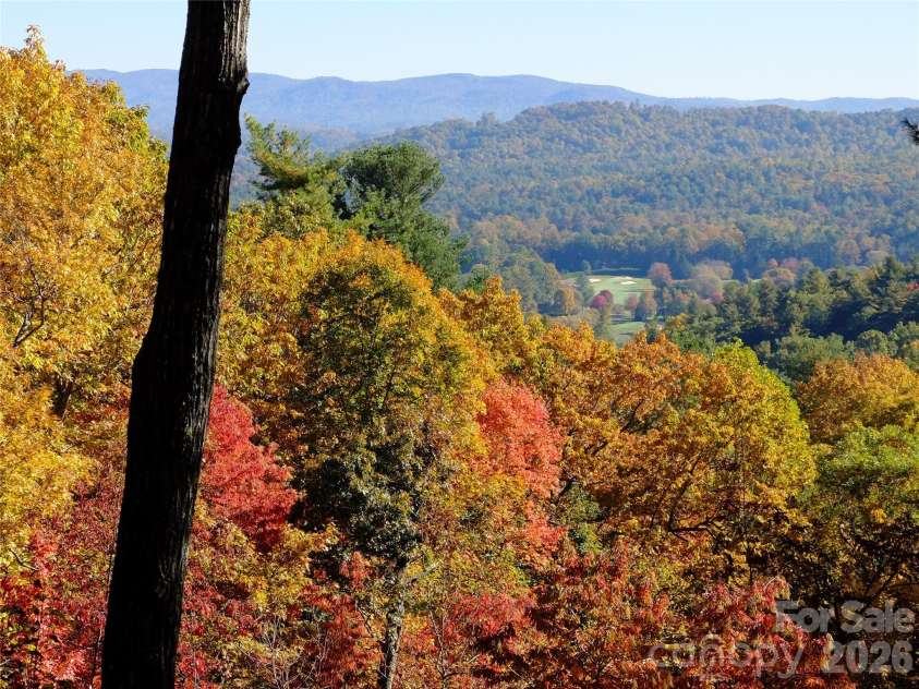 258 DALHOUSIE Court, Flat Rock, NC 28731.  MLS# CAR4379013, YatesRealty ID 23912. 