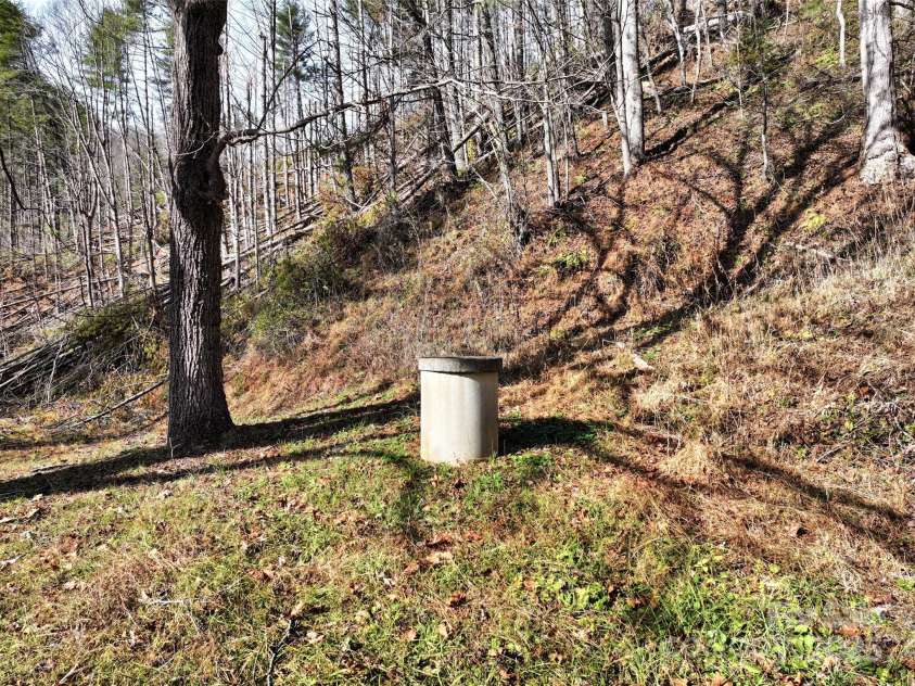 2201 Pigeon Roost Road, Green Mountain, NC 28740.  MLS# CAR4238132, YatesRealty ID 2397. 