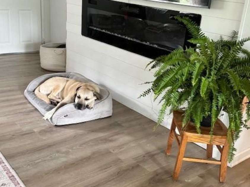 179 Abington Lane, Troutman, NC 28166.  MLS# CAR4244588, YatesRealty ID 23977. 