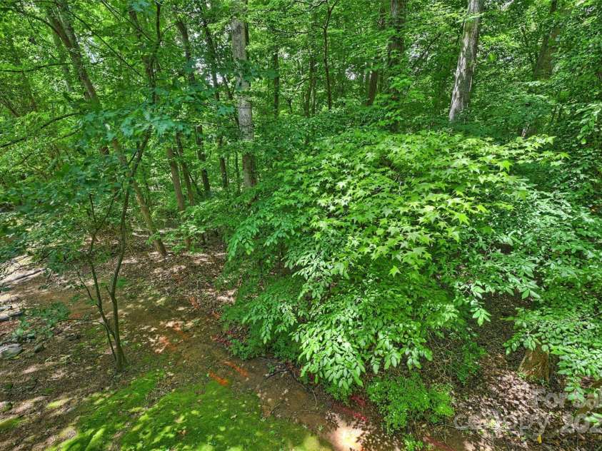 6016 Gray Gate Lane, Charlotte, NC 28210.  MLS# CAR4257900, YatesRealty ID 24019. Peace and serenity!